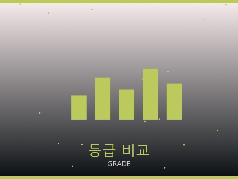 제냐 레플리카 사이트 등급 기준 비교